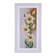 Lily