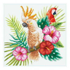 Cockatoo