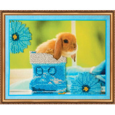 Rabbits 3