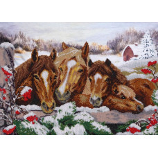 Winter horses