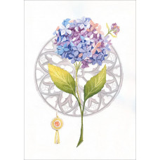 Hydrangea