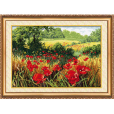 Poppy field. 480x300mm