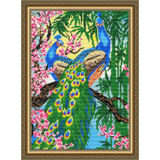 Pavichi on sakura