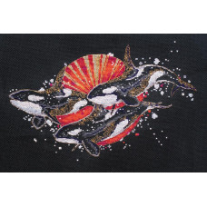 Killer whales. 30x20 cm