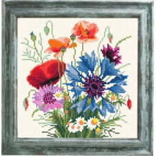 Hairy poppies
