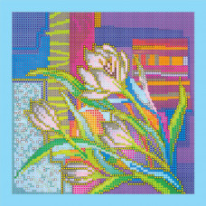 Crocusy