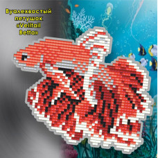 Veiltail Betta. Magnet
