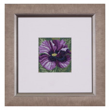 Blue poppy. 10x10 cm