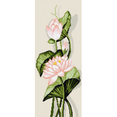 Lotus. 17x41 cm