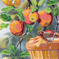 apple lover