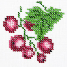 Currant
