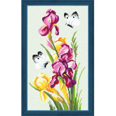 Cabbage mushrooms on irises. 18x30 cm