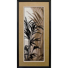 Fern. 13x37 cm