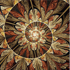 Fractal Spiral life