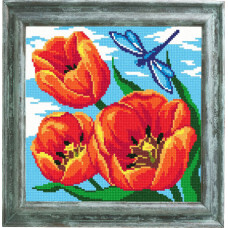 Red tulips