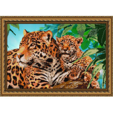 jaguari