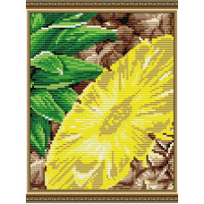 A pineapple