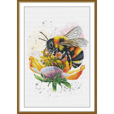 Honey pani, 28x43 cm