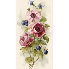 Anemone and lokhina-2
