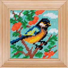 Titmouse