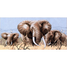 African elephants. 41x19 cm