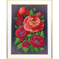 Poppies