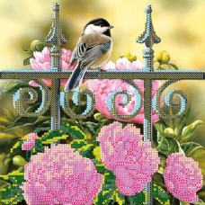 Titmouse
