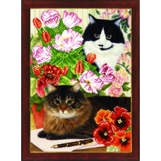KvÑtkovÑ cats