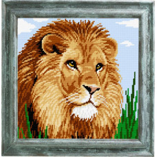a lion
