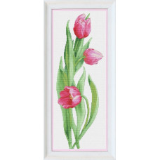 Rozhev tulips. 15x40 cm