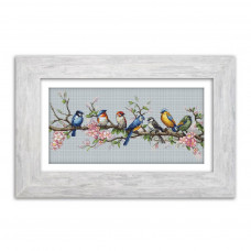 Bird's Symphony, 16x32 cm