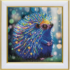 Bright hedgehog