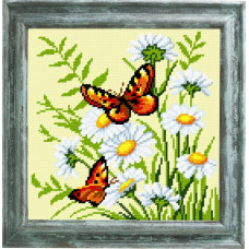 Kropiv'yanka on daisies