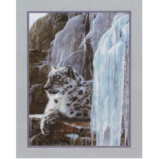 White leopard