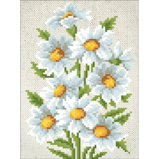 Chamomile