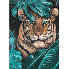 Tiger in the jungle