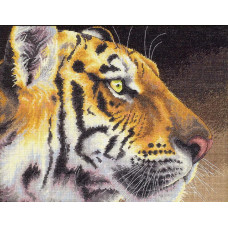 Tiger. 36x28 cm