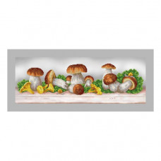 mushroom boom