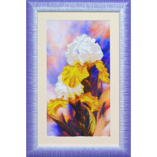 Iris