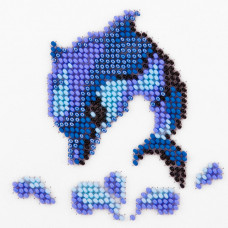Dolphin
