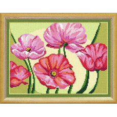 Poppies