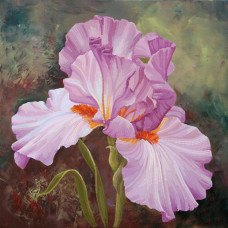 Buzkovy iris