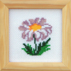 Chamomile. 9x9 cm