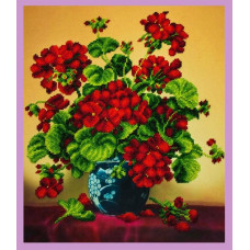 Geranium