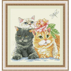 Kittens. 19x19 cm