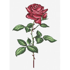 Red Trojan. 25x35 cm
