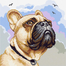 French bulldog. 22x22 cm