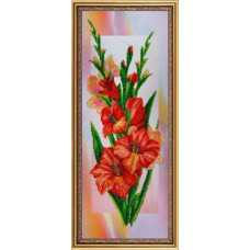 gladioli