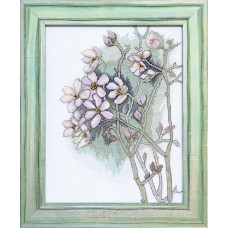 Forest rosemary. 22x28.5 cm