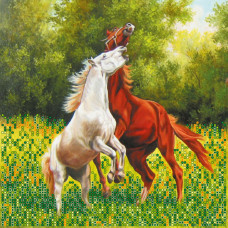 Dance of love